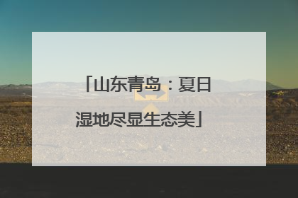 山东青岛：夏日湿地尽显生态美